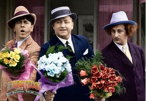 THE THREE 3 STOOGES 2005 BREYGENT PROMO CARD PROMO-2 TV