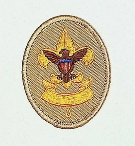 BSA First Class Scout Rank Patch Tan Modern THREADBREAK NO WHITE - Picture 1 of 2