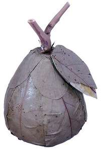 Hoja Pera Natural Country Rústico Hecho a Mano Fruta Artesanía Floral Decoración Relleno 442f - Imagen 1 de 7