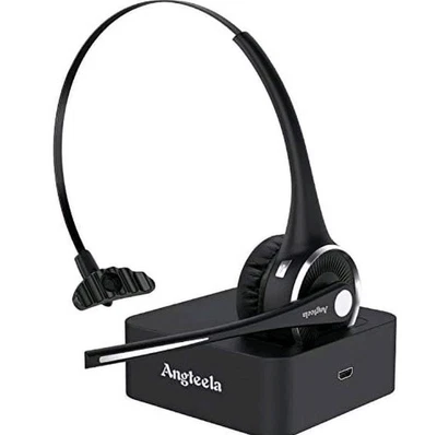 SKY WING 通讯模型 BH-M9 卡车司机头套 Angeela 全新 — 第 1/4 张图片