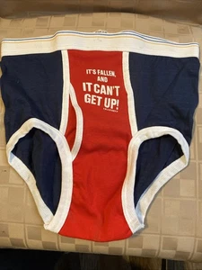 Vintage 90s Joke Gag UNDERWEAR TRI-COLORS It’s Fallen And It Can't Get Up - Picture 1 of 14