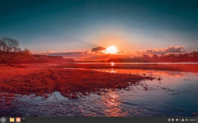 DVD Linux Mint 22 Cinnamon similaire à Windows 64 bits - Photo 1/4