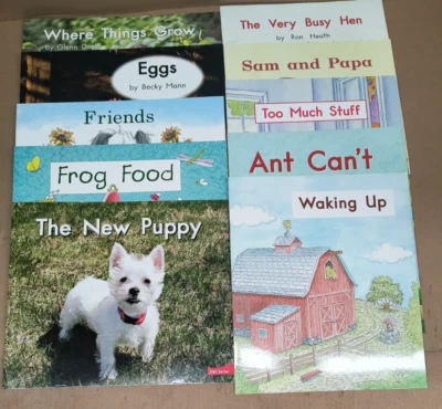 13" x 11" Fountas & Pinnell 1-10 LLI Green XL Print Reader Books Grade 1 Large - Image 1 of 4