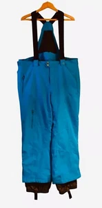 SPYDER Herren Salopettes Skihose Boundary Hose hellblau Größe XL - Bild 1 von 11