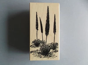 100 PROOF PRESS RUBBER STAMPS FLOWERING DESERT PLANT NEW STAMP - Picture 1 of 1