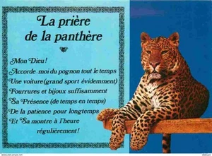 Animaux - Fauves - Panthère - La prière de la panthère - CPM - Voir Scans Recto- - Zdjęcie 1 z 2