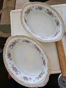 Noritake Somerset 5317 Porzellan Oval Servierschalen (2er Set) 10,25" EUC - Bild 1 von 4
