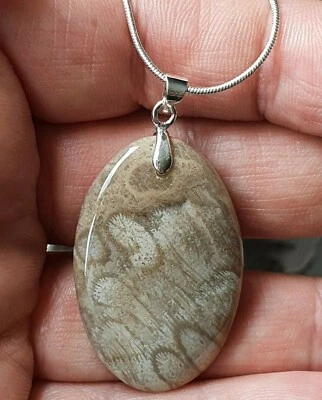 Regalos para ella💎Natural GRIS 38ct CORAL Agatizado fósil -Collar plata plt 18" Foto 1 de 4