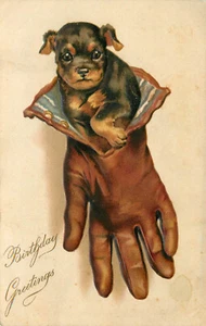 Embossed Art Birthday Greeting Postcard Doberman Puppy Dog In a Glove 144 - Picture 1 of 2