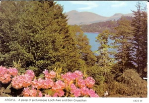 Argyll, Loch Awe and Ben Cruachan - Posted 1983 - Whiteholme, Dundee - Picture 1 of 2