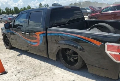 Ford F150 LH 2009 bolsa de aire de cortina de techo para conductor OEM Foto 1 de 4