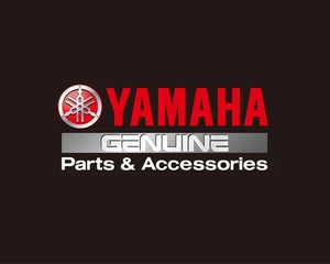 YZ250F YZ250FX WR250F 19-23 OEM Yamaha Intake & Exhaust Valves Kit - Picture 1 of 1