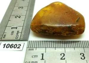 BALTISCHER BERNSTEIN 4,8g hochwertig - echter Naturstein  - Bild 1 von 6