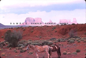 ORIGINAL KODACHROME 35mm COLOR SLIDE - 1981 - MONUMENT VALLEY, ARIZONA - Picture 1 of 1