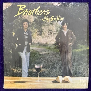 BROTHERS It’s So Nice LP PRIVATE Xian Folk Psych Pokora RARE Listen HEAR NM - Picture 1 of 7