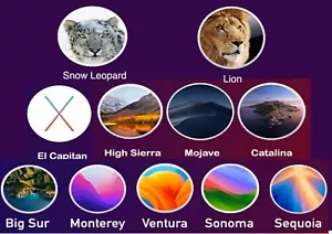 MacOS avviabile USB 10-in-1 installer - El Capitan - Sequoia - 128gb Kingston USB - Foto 1 di 3