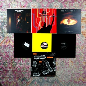Big Dada 7X12" Lot Roots Manuva Ty New Flesh Gift of Gab Ninja Tune Hip Hop Rap - Picture 1 of 13