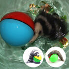 Plastic Funny Dog Cat Electric Beaver Ball Waterpoof Pet Play Interactive Toy