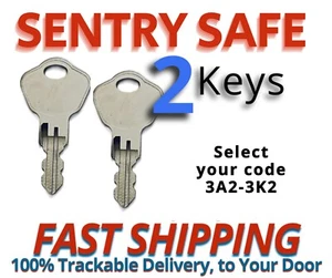 Sentry Safe Keys Firebox Cash Box Replacement Key Cut to your Code 3A2-3K2 - Picture 1 of 3