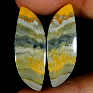 24.00Cts. Natural Marvellous BumbleBee Jasper Pair Fancy Cabochon Gemstone - Picture 1 of 3