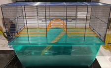 extra large gerbilarium