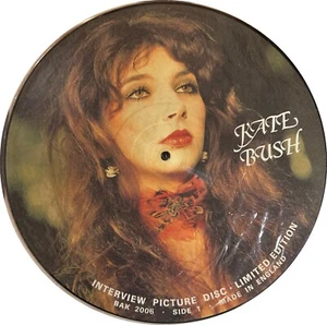KATE BUSH Vinyl Records LP Interview UK Picture Disk Unplayed Collectors Edition - Picture 1 of 2