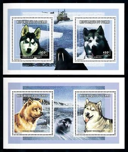 [77209] Tchad Ciad 1998 Polar Dogs Husky 2 mini fogli MNH - Foto 1 di 1