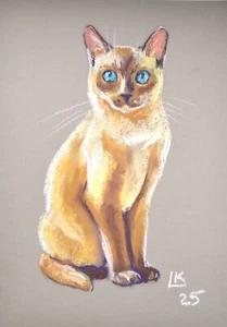 Siamese Cat Portrait Pastel 12x8 Original OOAK Signed Blue-Eyed Wall Art - Picture 1 of 6