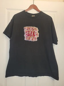 Reel Big Fish Punk Rock Ska Vintage 90s Y2K Music Band T-shirt Iron On XL - Picture 1 of 3