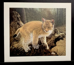 Impresión firmada por Charles Frace edición limitada firmada "Cachorro de lince siberiano" - Imagen 1 de 1