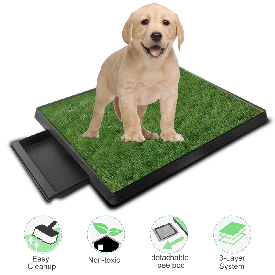 Caja de arena portátil para perros alfombrilla de hierba interior cachorro perro mascota entrenamiento para orinar almohadilla para orinar Foto 1 de 4