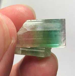 Cristallo Terminato Tormalina Tricolore Naturale 24 Cts proveniente dall'Afghanistan - Foto 1 di 10