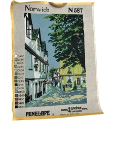 NUEVO Tapiz Penélope Norwich N587 25x18 Lienzo Punta Aguja Inglaterra De Colección - Imagen 1 de 1
