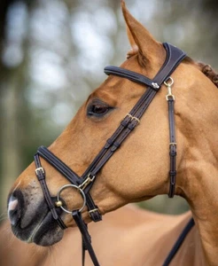 LeMieux Kudos Work Bridle Everyday Soft Padded Anatomical Easy Clips Black/Brown - Picture 1 of 11