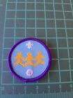 Community Impact Stage 4 Scouts UK Badge