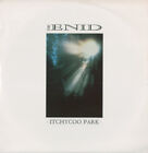 The Enid - Itchycoo Park (12", Single)