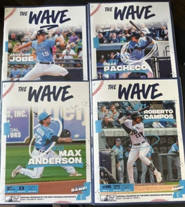 2024 West Michigan Whitecaps "The Wave" Season Lot Jobe Pacheco Anderson Campos - Picture 1 of 6