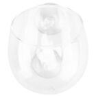 Kristallglas Wasserpflanze Tasse Topf Set mit 2X Saugnäpfe für Aquarium