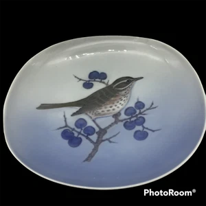 Royal Copenhagen #4935 Turdus Iliacus Redwing Bird 6,5" piatto da appendere - Foto 1 di 6