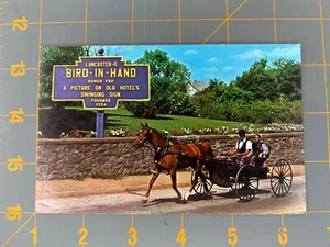 Postkarte RPPC Bird-In-Hand PA Amish Courting Buggy 1968 unbespielt - Bild 1 von 2