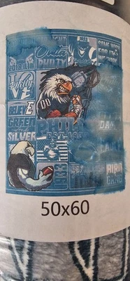 Cobertor NFL Philadelphia Eagles 50”x60” Eagles Fan Blanket (1)  - Imagem 1 de 2