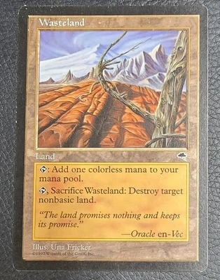 Wasteland Tempest Regular MTG MP Magic Card - Image 1 of 2