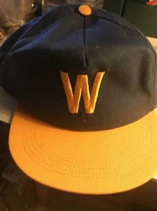 Carta con sombrero - hecho en EE. UU. - Snapback - Haband - Win Wrigley - Chicago Cubs - Imagen 1 de 6