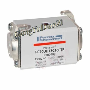 1PCS NEW FOR Ferraz Shawmut Fast fuse PC70UD13C160TF R300487 1300VAC 160A - Picture 1 of 1