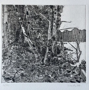 Waldlandschaft Radierung Aquatinta sign. Dietrich Naethe Kunst Druck 20. Jh 1977 - Picture 1 of 7