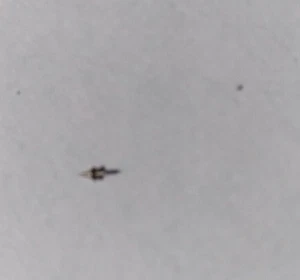 Gruen 275 285 295 291 290 BALANCE STAFF Watch Part B19#86 - Picture 1 of 2