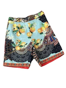 Dolce & Gabbana Authentic Lemon Artsy Print HiRise SILK Lined Bermuda Shorts Sz2 - Picture 1 of 12