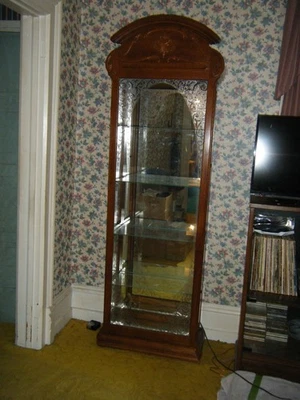 Vitrina de pared iluminada con vidrio y espejo gabinete de curiosidades  Foto 1 de 2