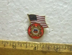 US Flagge mit US Küstenwache Emblem Pin - Bild 1 von 4