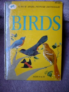 Birds, A Blue Angel Picture Dictionary for Children, Vintage Hardcover 1954 - Picture 1 of 7